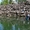 Отдых на Телецком озере - Изображение #4, Объявление #310457
