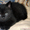 Британские КШ котята,4 разных окраса, 2 мес., с документами. - Изображение #4, Объявление #373409