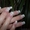Гелевые ногти,  маникюр,  педикюр #591024
