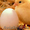 цыплята разных яичных пород - Изображение #3, Объявление #604792