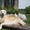 Шикарные щенки золотистого ретривера, питомник Solar Wind - Изображение #3, Объявление #701470