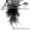 Растение водоема-Эйхорния- водяной гиацинт - Изображение #1, Объявление #709335