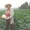 огурцы патиссоны пекинская капуста и другие овощи!!! - Изображение #2, Объявление #708410