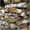 Колотые дрова для бани #1033659