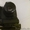 Canon 550d ef 50mm f/1.8 II - Изображение #2, Объявление #1089142