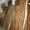 Слэбы и спилы из реликтовой древесины  #1633537