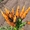 Лучшие сорта моркови мелким и крупным оптом в Барнауле,  Новоалтайске и Бийске #1728175