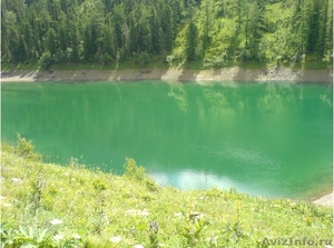3 участка в р-он Усть-Кокса (живописное озеро, река), - Изображение #2, Объявление #298331