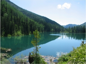 3 участка в р-он Усть-Кокса (живописное озеро, река), - Изображение #3, Объявление #298331