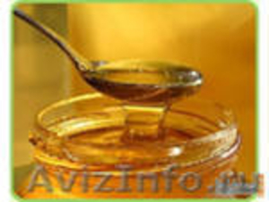 Продаю качественный натуральный мед с собственной пасеки - Изображение #1, Объявление #403890