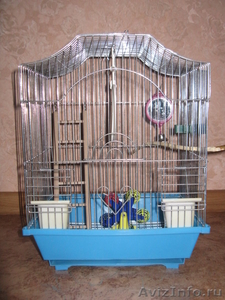 Клетка для попугаев или птиц маленьких пород - Изображение #1, Объявление #487687