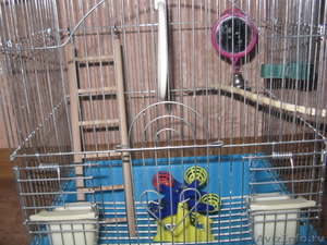 Клетка для попугаев или птиц маленьких пород - Изображение #2, Объявление #487687
