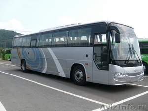 Продаём автобусы Дэу Daewoo Хундай Hyundai Киа Kia в Омске. Барнаул. - Изображение #1, Объявление #849143
