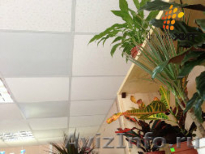 ИК обогреватели для потолков от ФлексиХИТ для дома, офиса, магазина - Изображение #2, Объявление #1079065